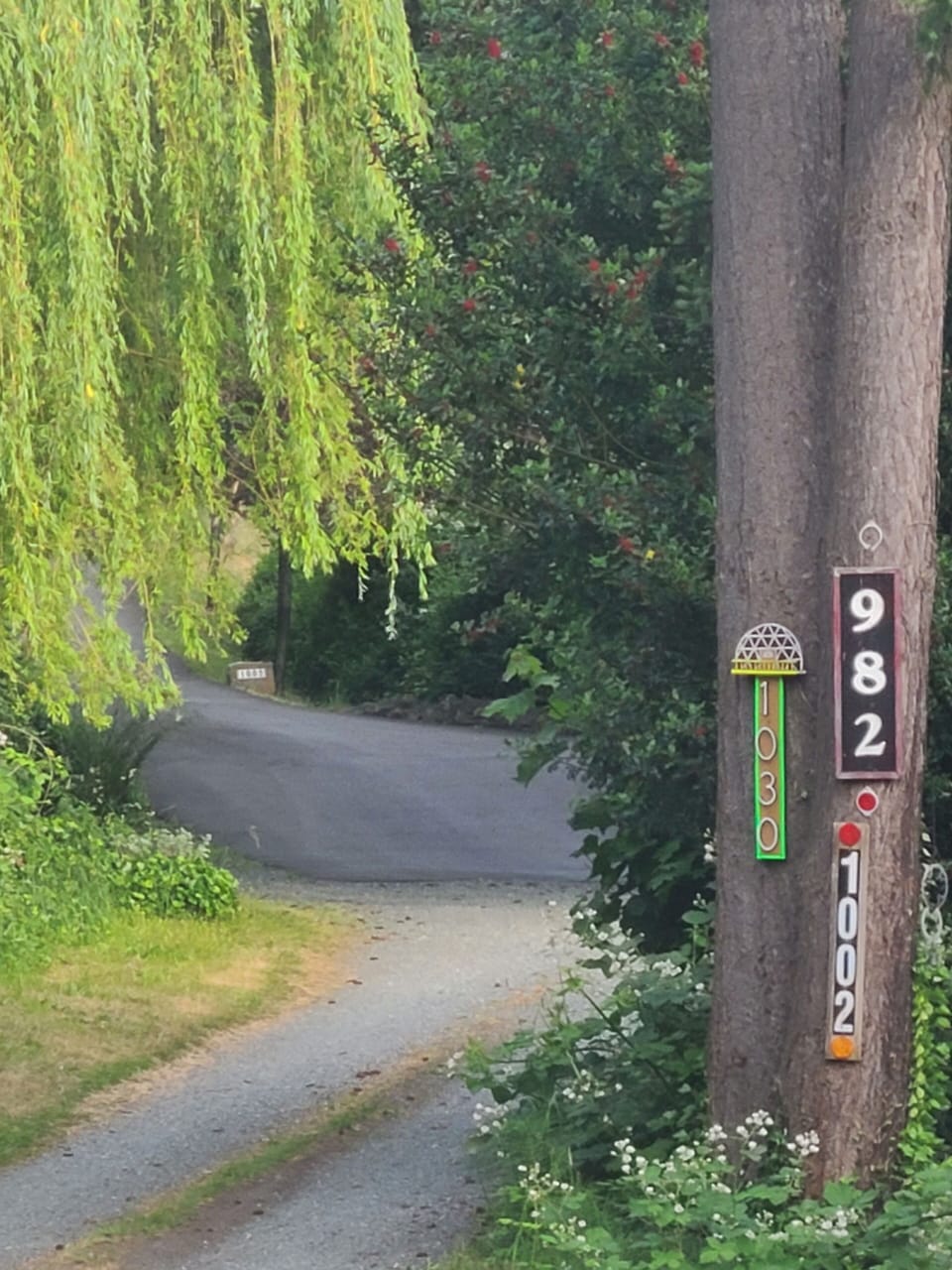 Address located on tree at foot of driveway