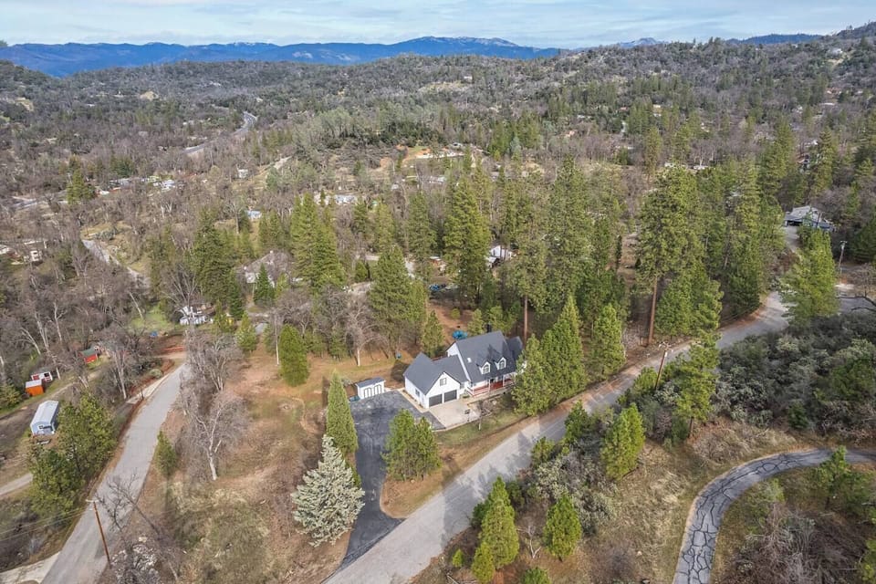 3a471a11 f421 4d8e 95e0 07883d430518