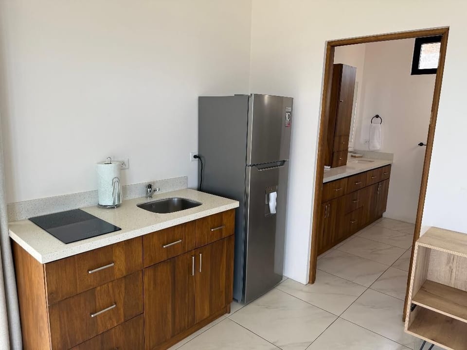 Master Suite Kitchenette and partial bath.