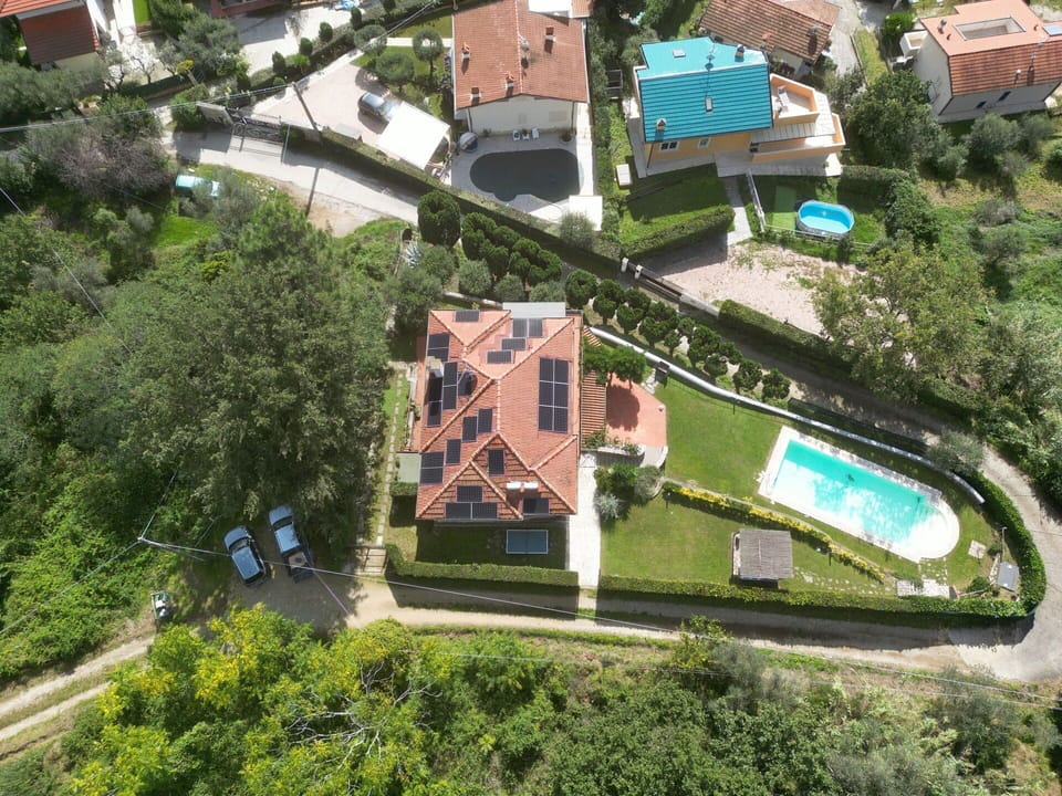 Garden, Outdoor, Pool