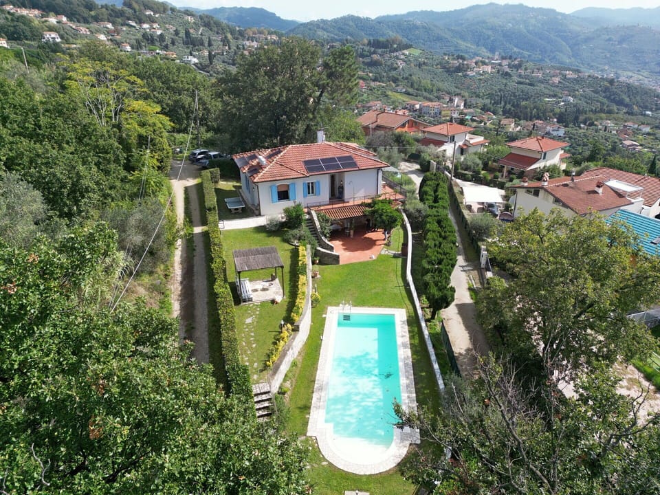 Garden, Outdoor, Pool