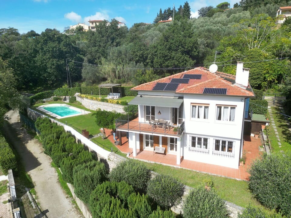 Garden, Outdoor, Pool