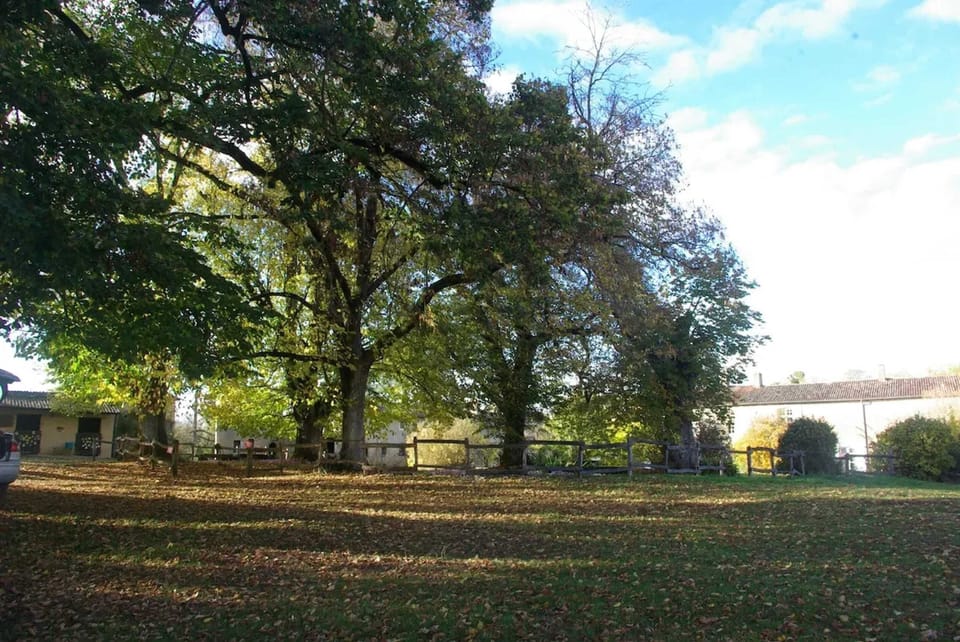 Lake view