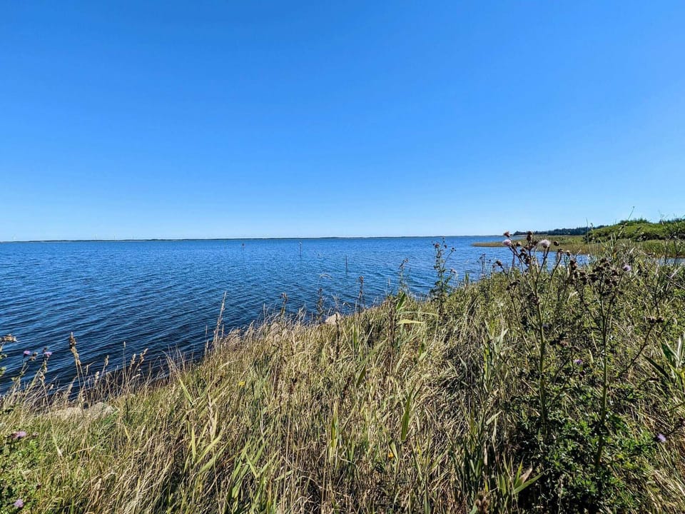 Water view