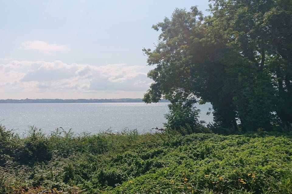 Water view