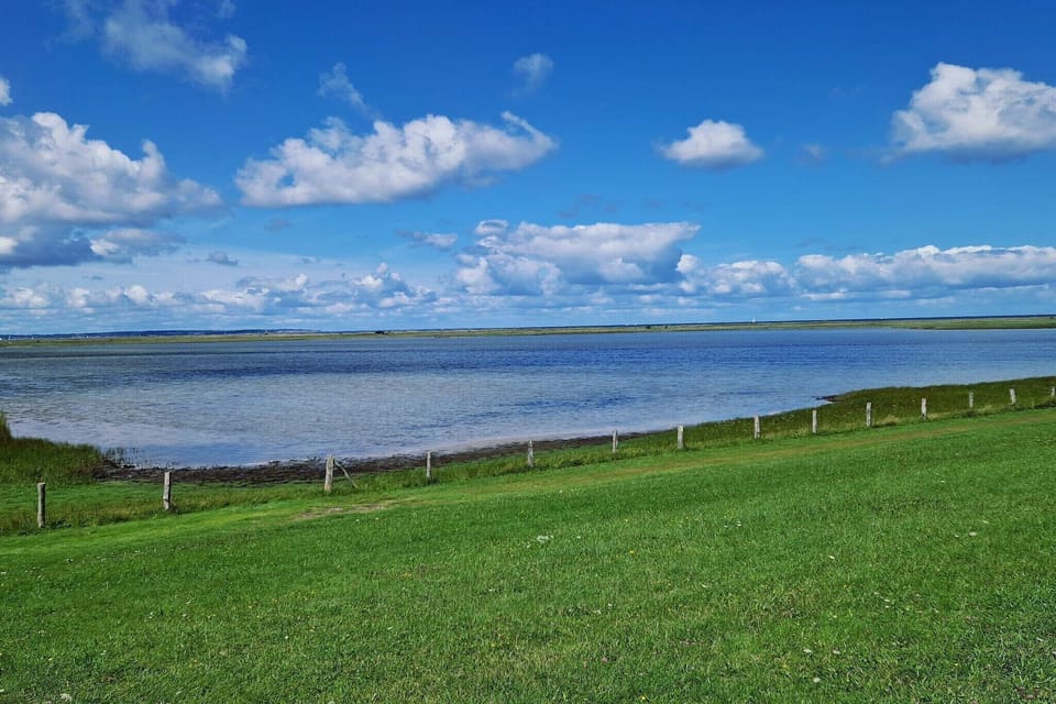 Water view