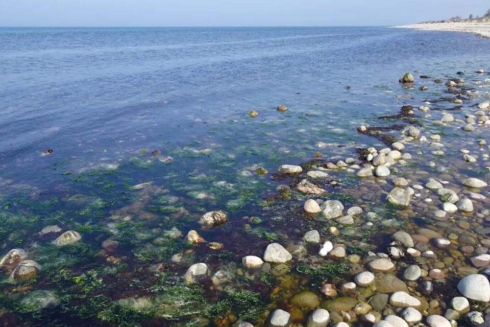 Water view