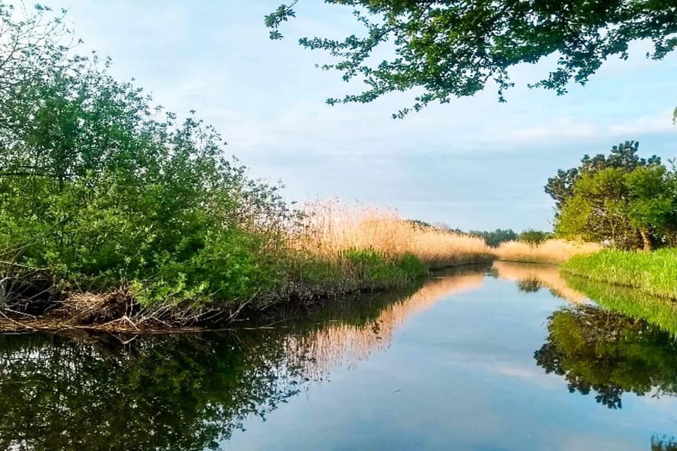 Water view