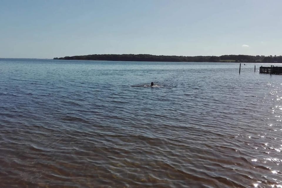 Water view