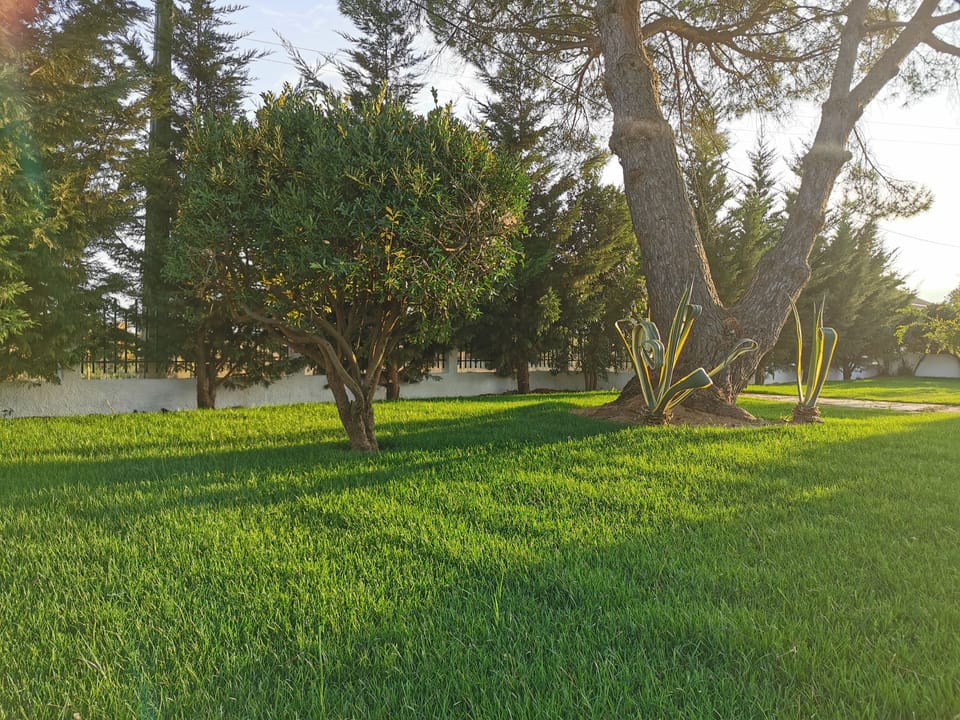 Property grounds
