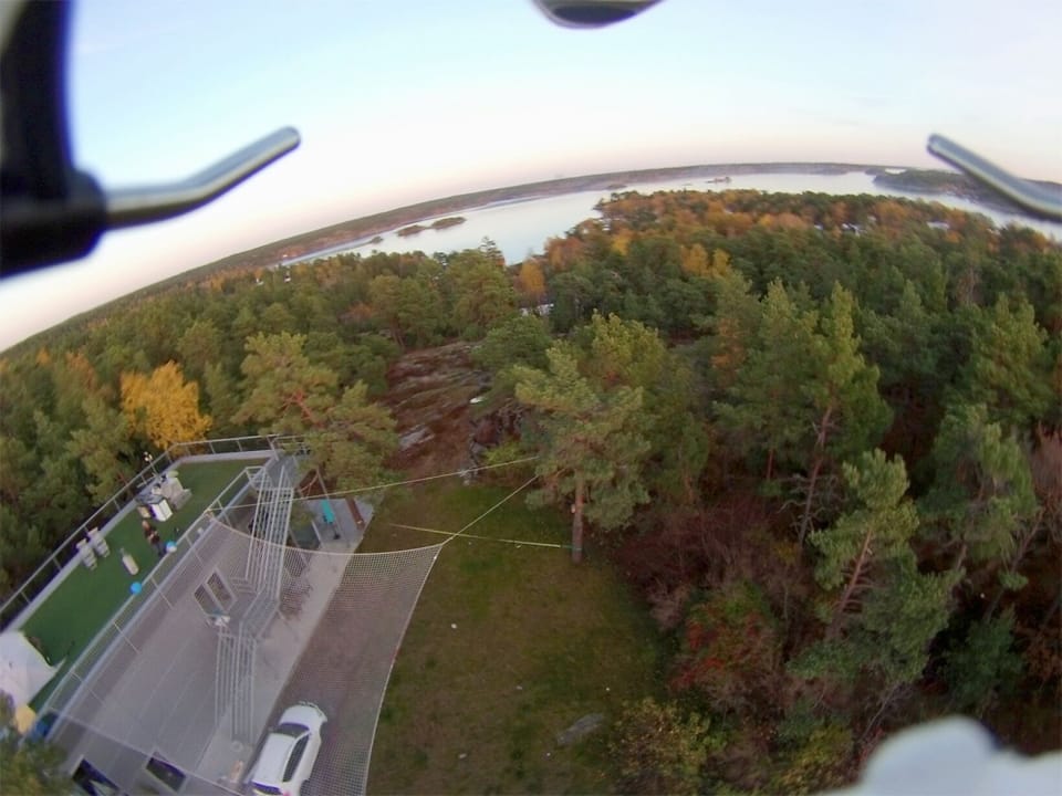 Aerial photo of the site and the pines down to the boat jetty