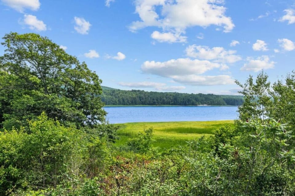 Beautiful view from the cottage