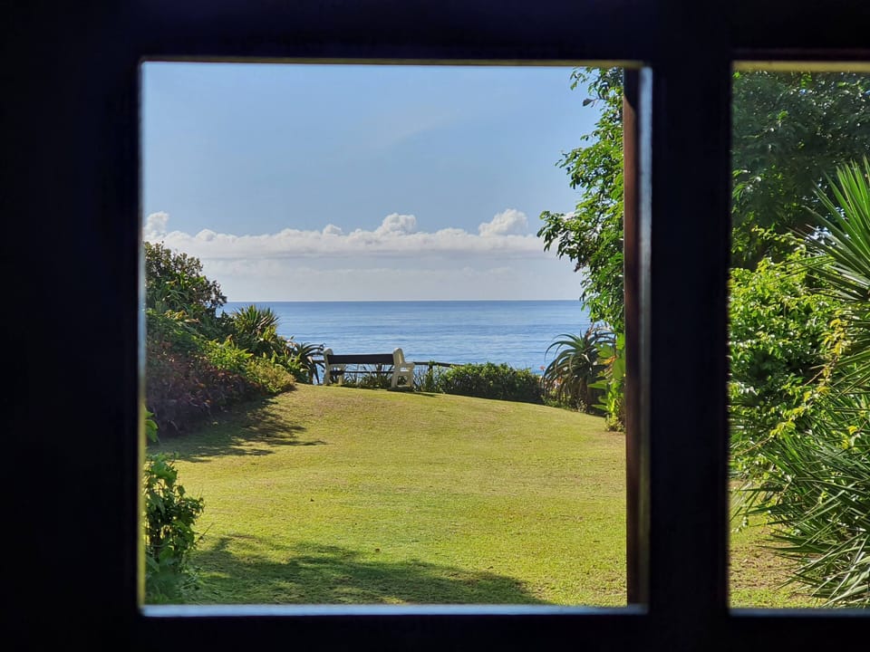 View of the sea from inside closed patio door