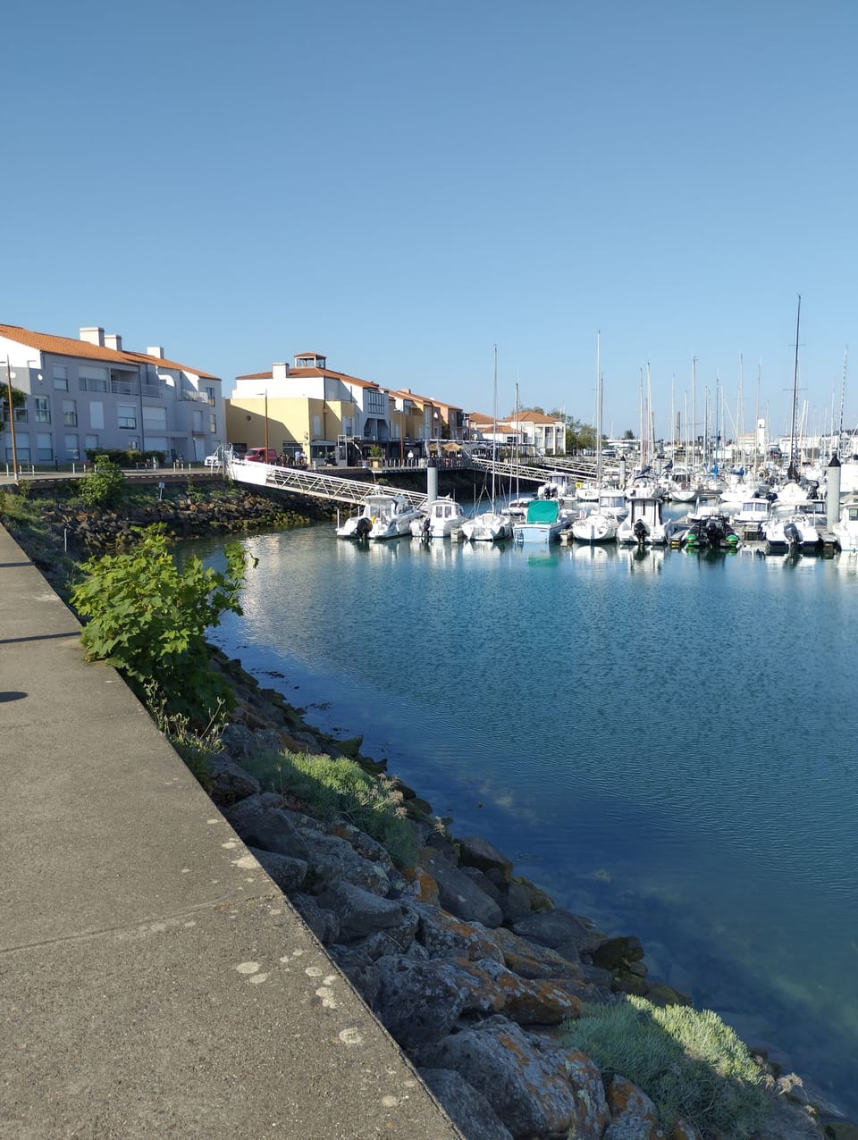 Marina