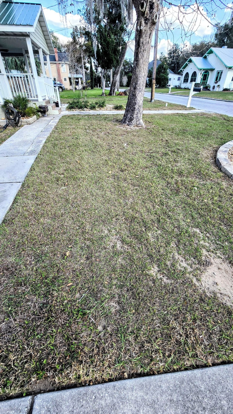 Front yard