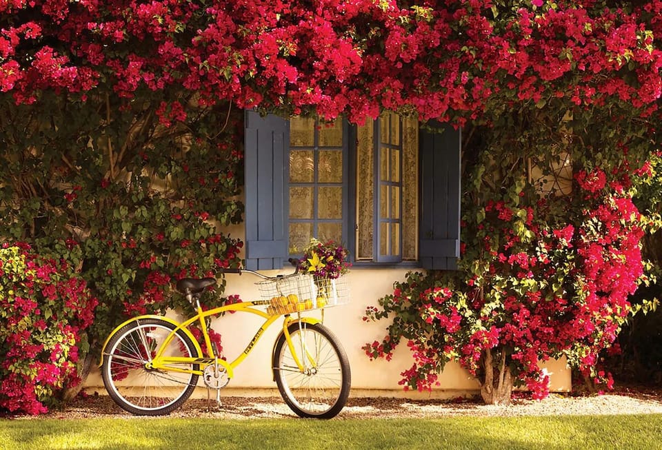 Cruise the grounds, then relax beside vibrant bougainvillea blooms.