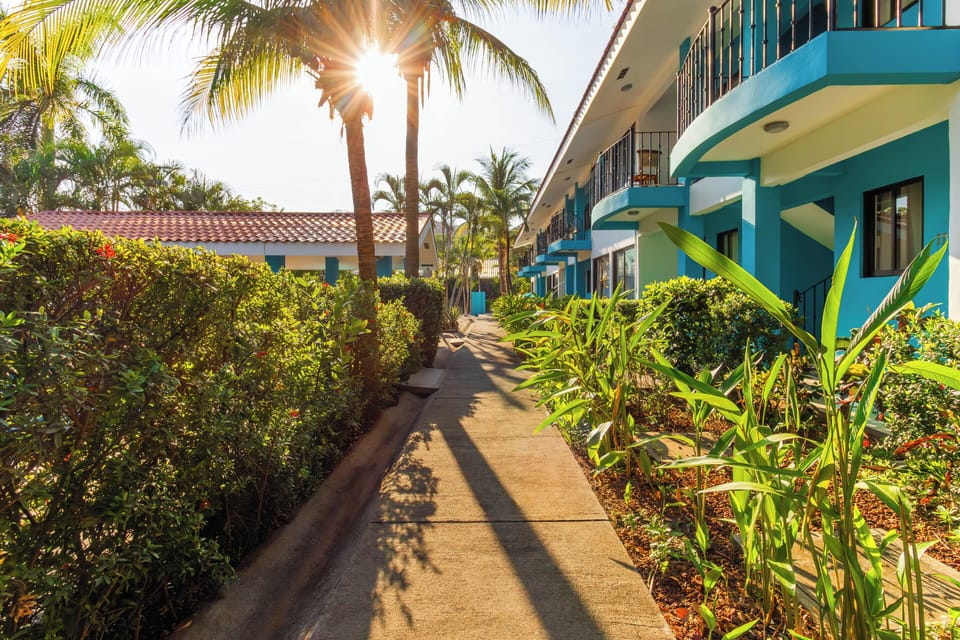 Welcome to Paradise!