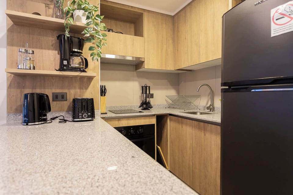 Modern kitchen with sleek appliances and ample counter space, perfect for cooking and enjoying meals in your cozy Chilean studio.
