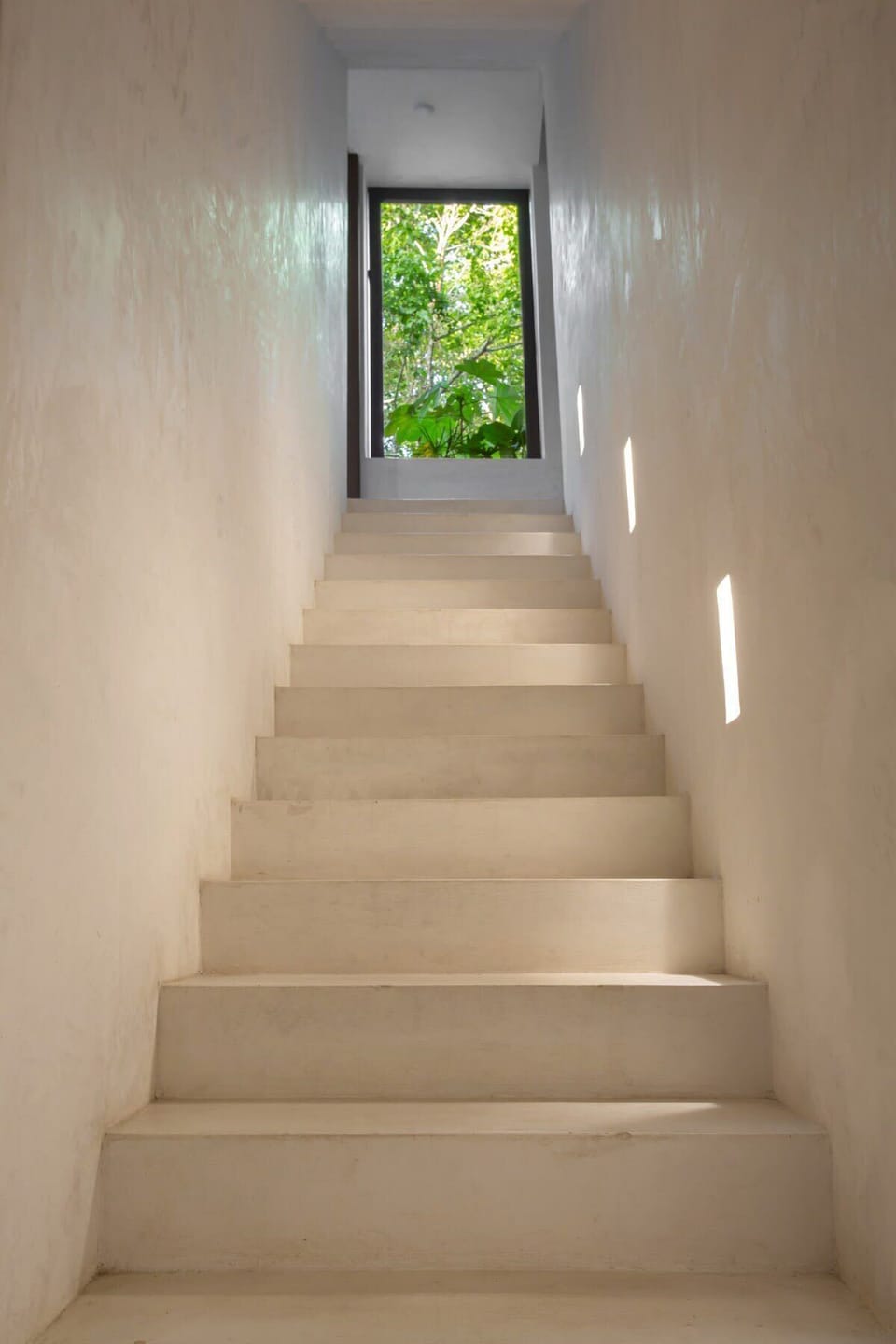 Modern and elegant stairs to the second floor.