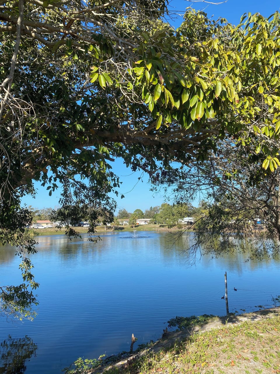 Beautiful lake located along a walking trail 1 block from the house! 