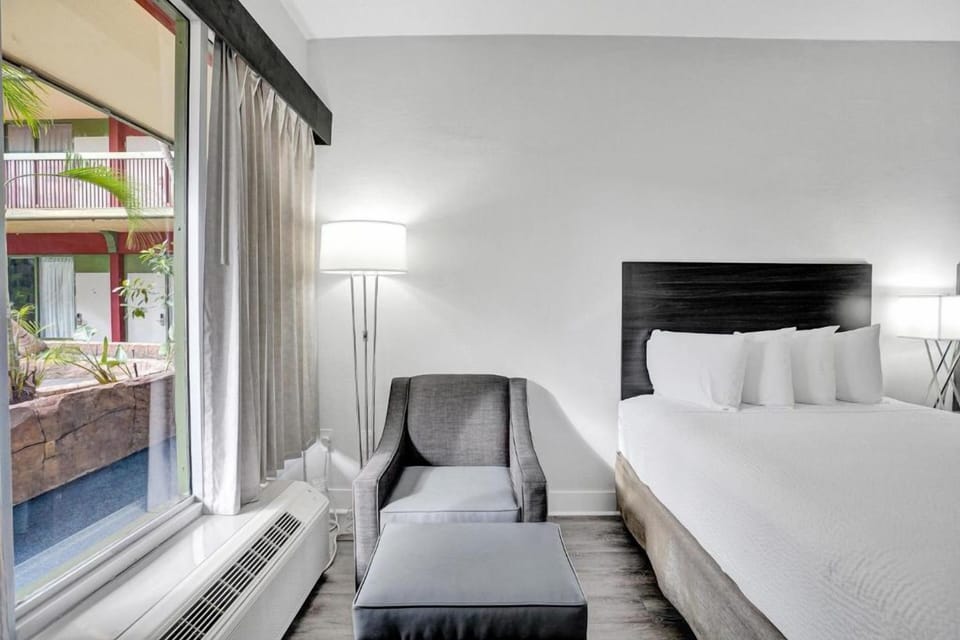 Wake up to soft daylight and easy patio-side lounging.