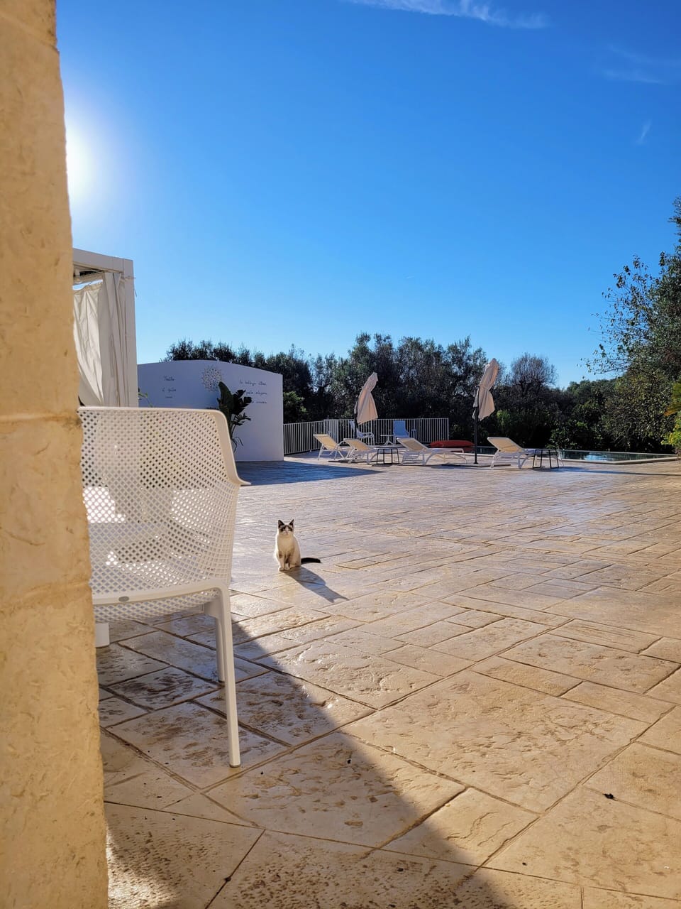 Terrace/patio