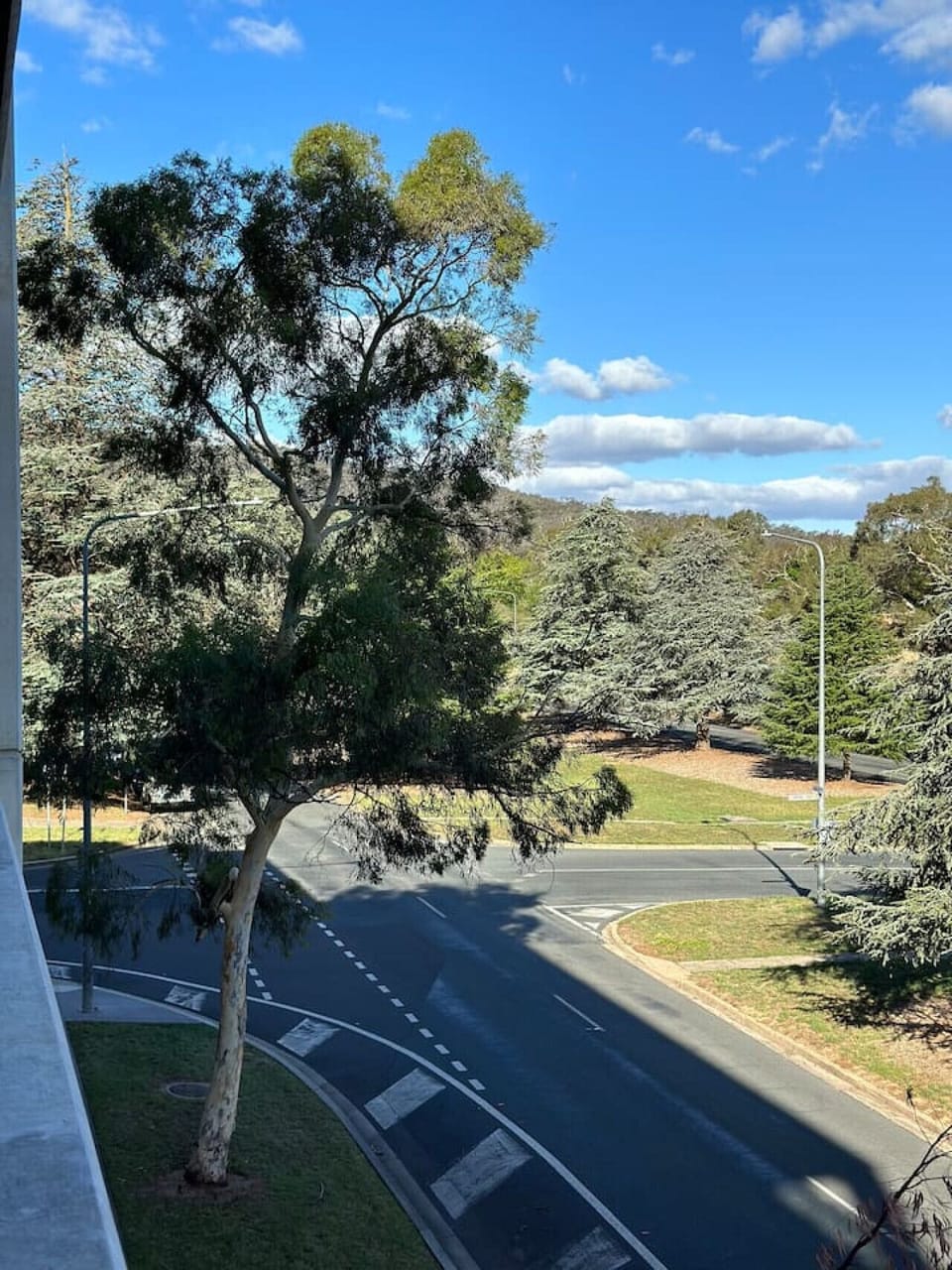 View from property