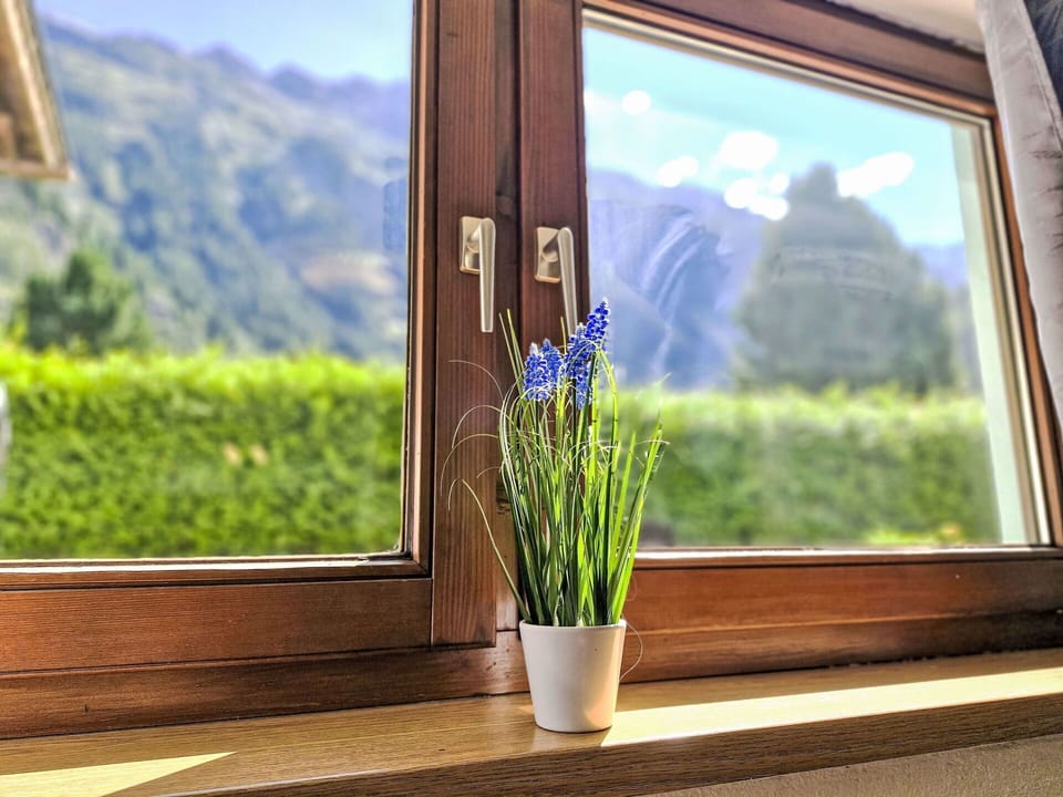 Glass, Daylighting, Flowerpot, Houseplant, Vase, Hardwood, Floristry, Floral Design
