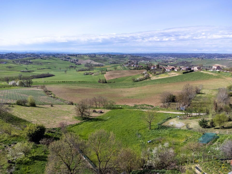 Grass, Grassland, Natural Landscape, Plain, Ecoregion, Horizon, Landscape, Rural Area, Field, Land Lot