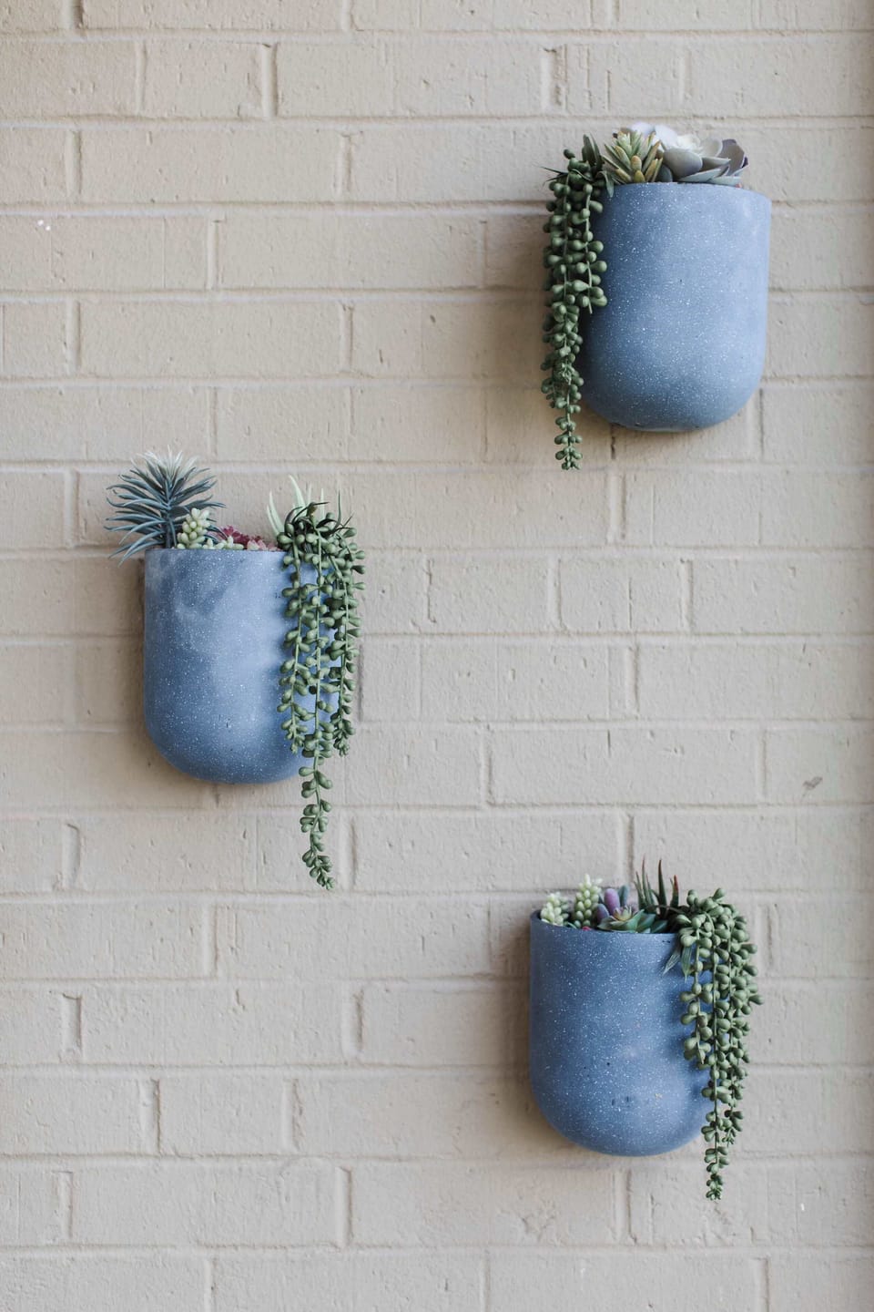 Plants?