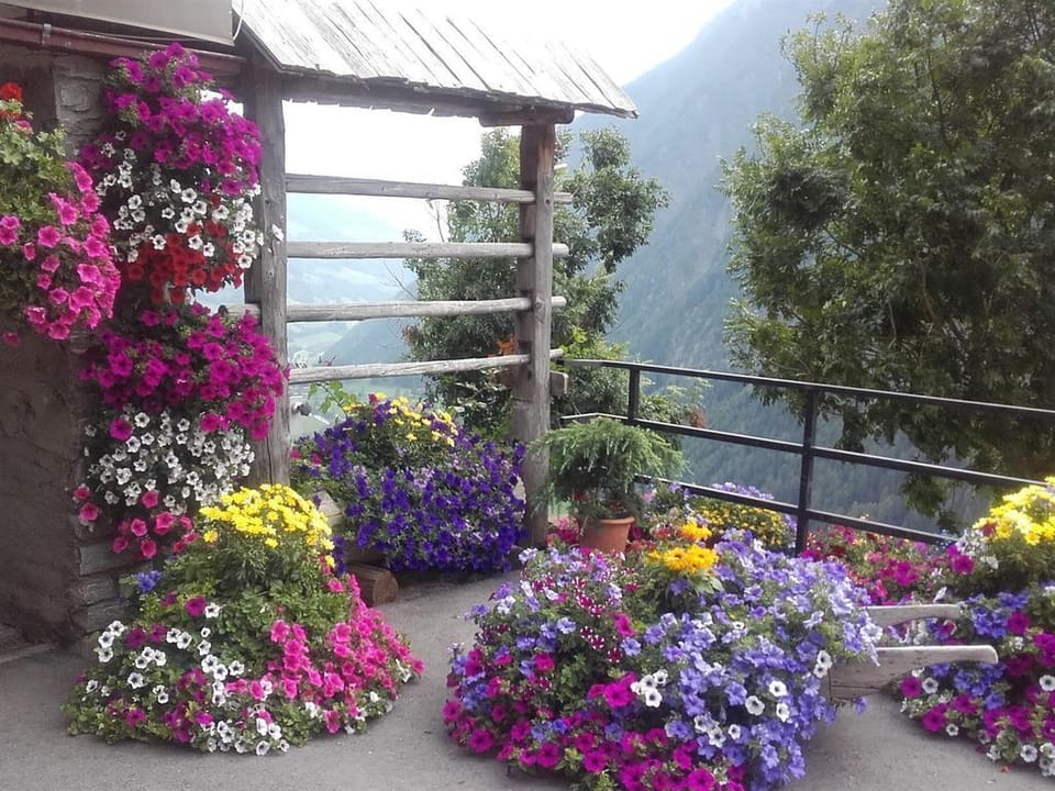 Vacation apartment Hohe Wand - Mountain view Apartment in Carinthia, Austria
