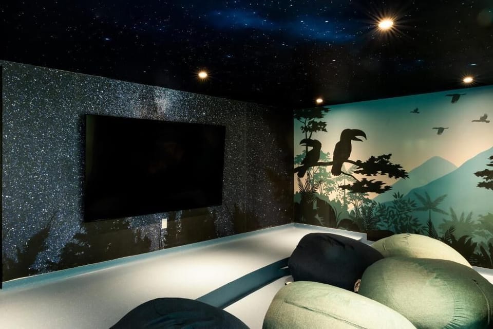 Television