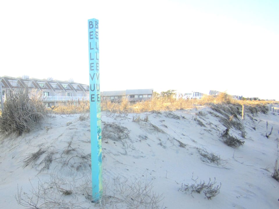 Bellevue Beach Access