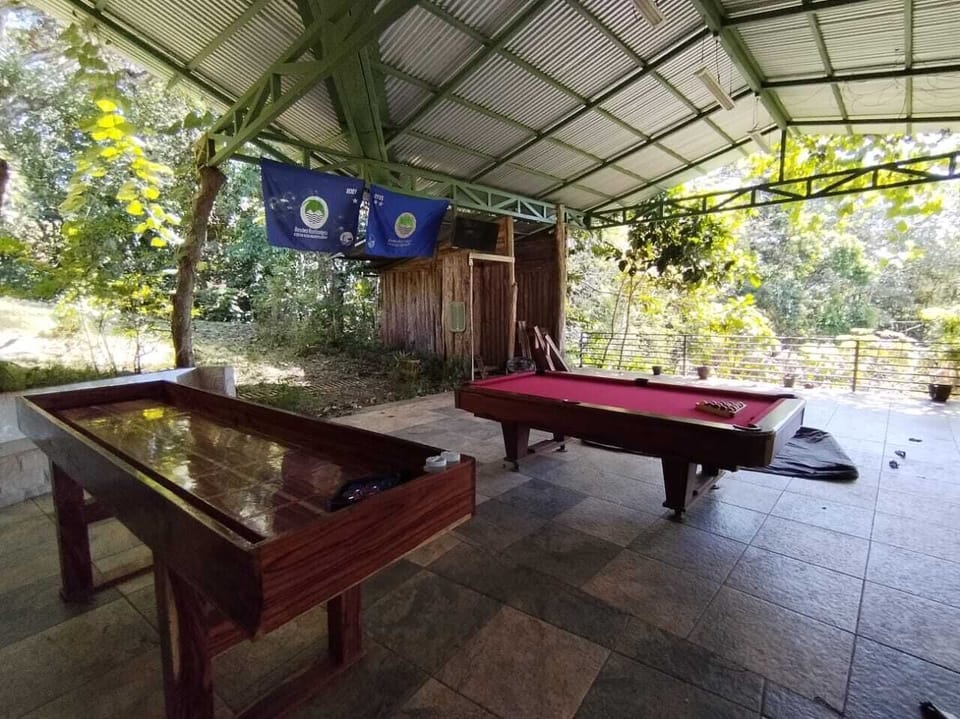 Pool table and disc table 