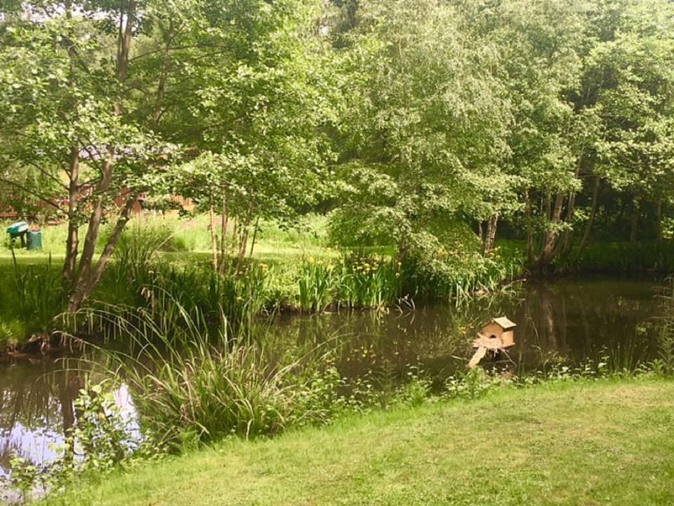 Wildlife Pond
