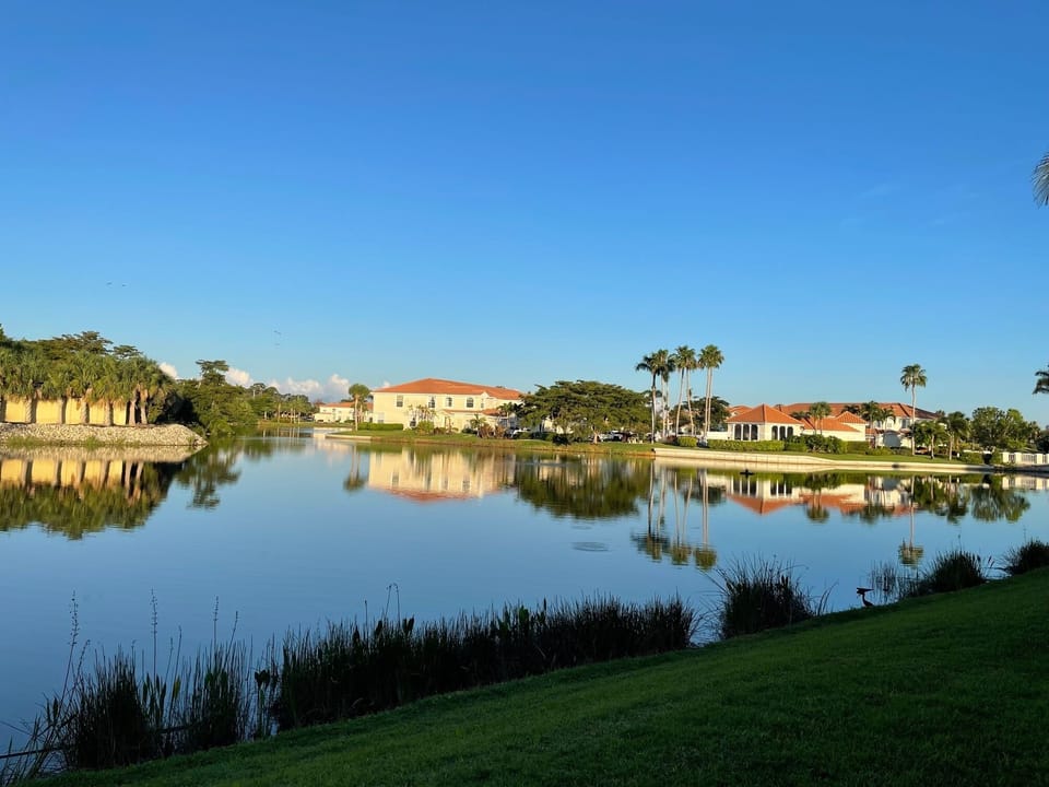Lake Daytime