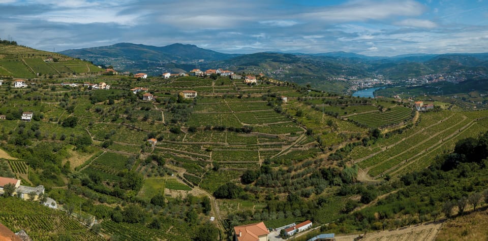 The tranquillity of the Douro Valley from the first-floor balcony. 