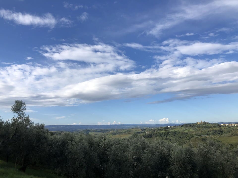 Autumn, Scenic View, Spring, Summer