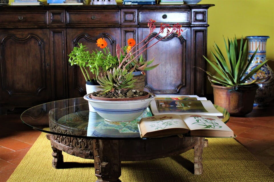 Autumn, Living Room, Spring, Summer