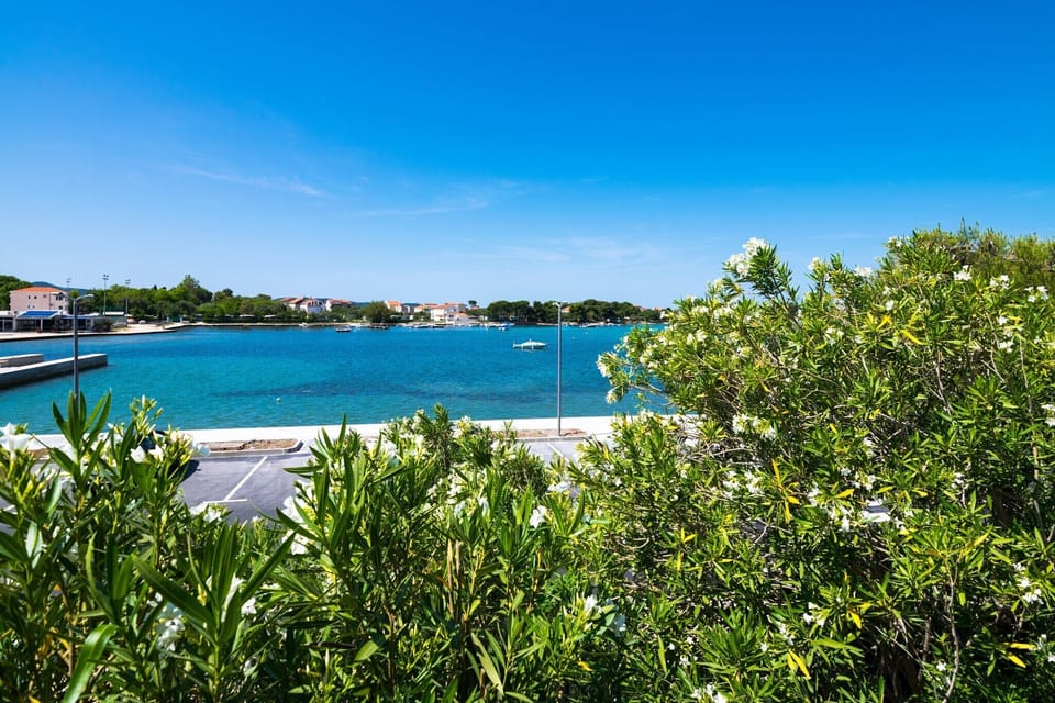 View from Holiday Home [summer]