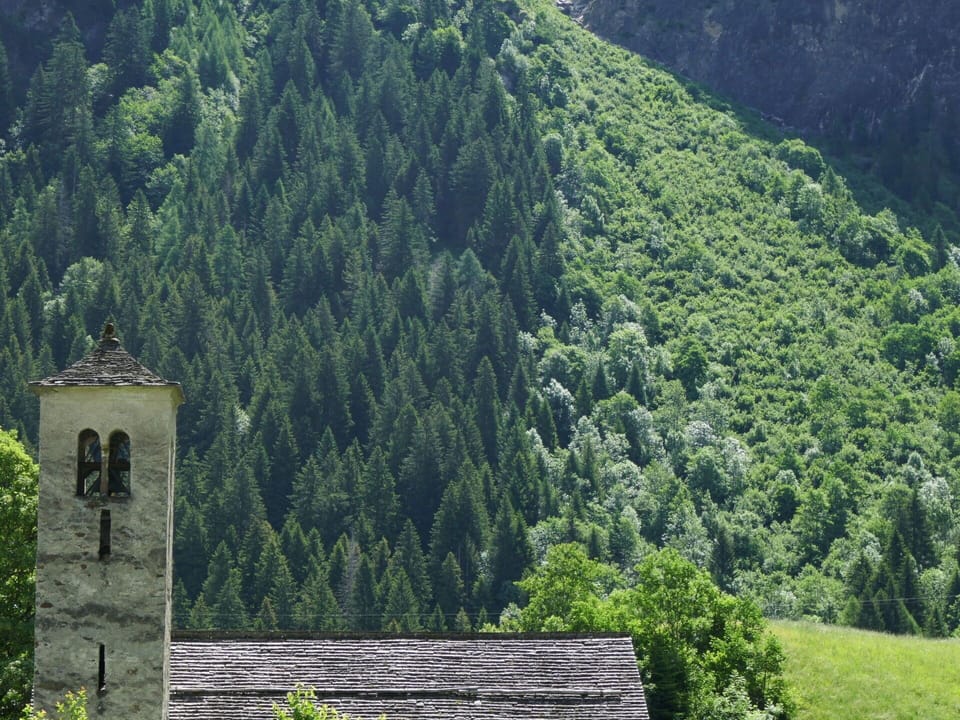 Rural Area, Hill Station, Valley, Mountain Range, Village, Evergreen, Mountain Village, Alps