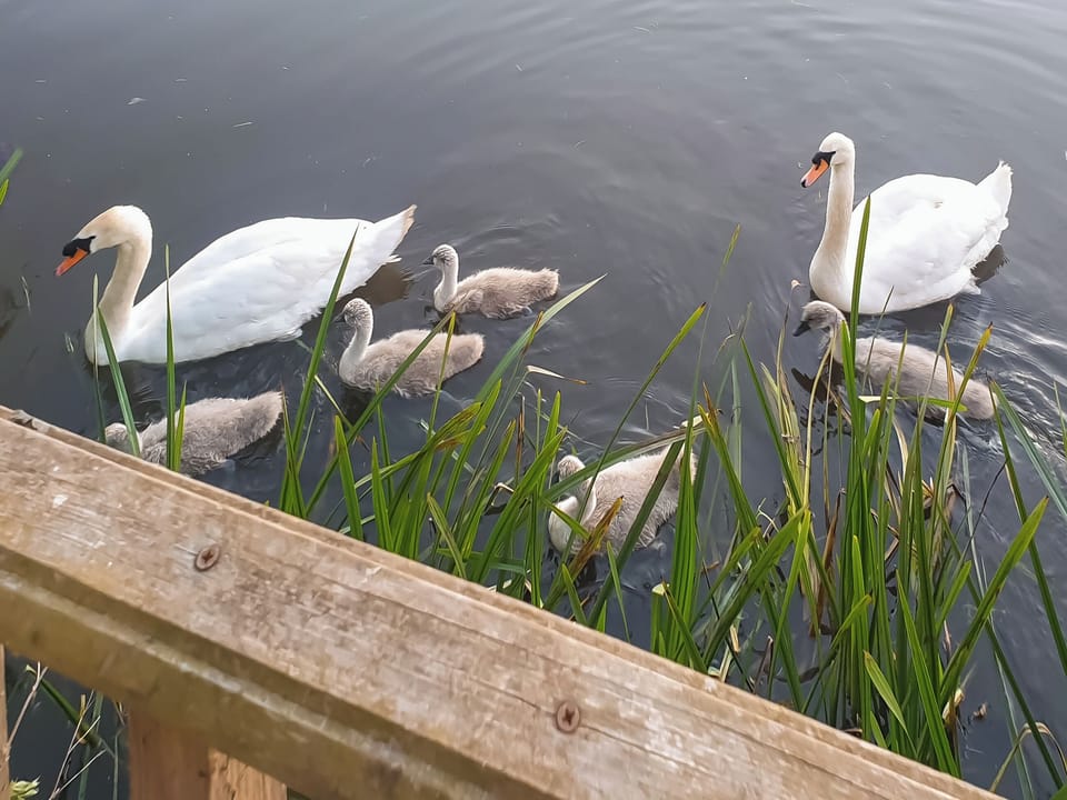 Surrounding area | Nene Cottage, Upwell