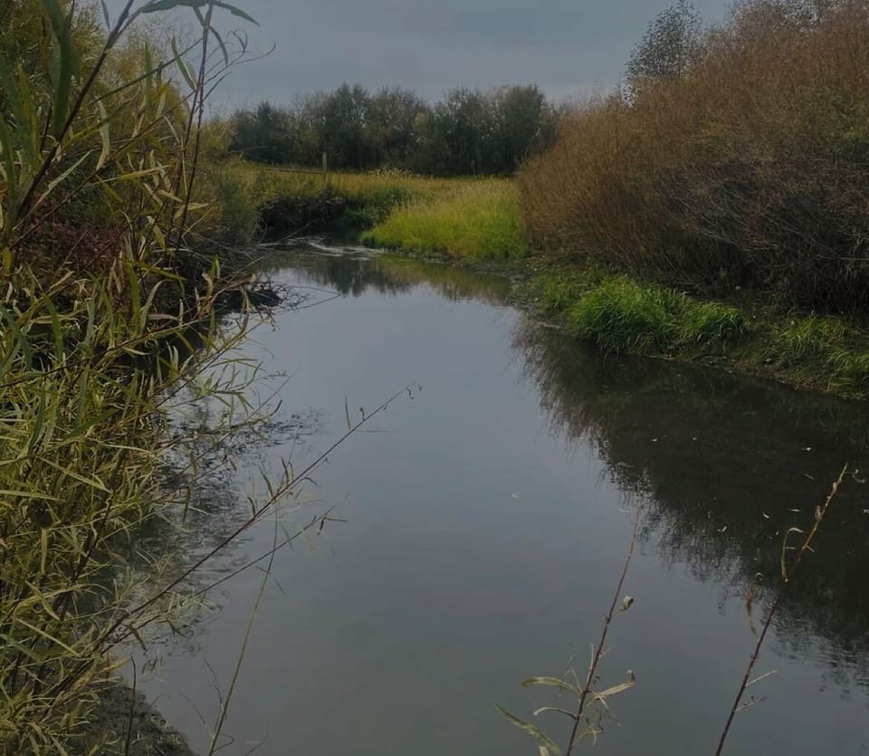 East Gallatin River in your backyard makes it popular for trout fishing!