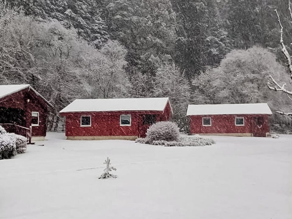 Setting | Grouse Lodge, Dunoon