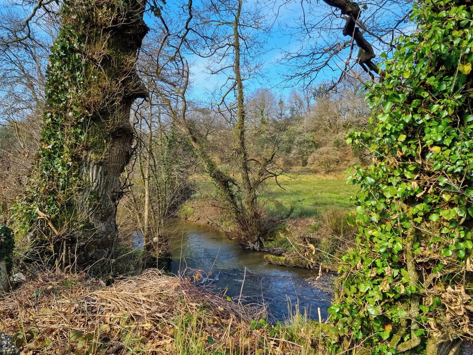  The river carey | Carey Meadows, Beaworthy