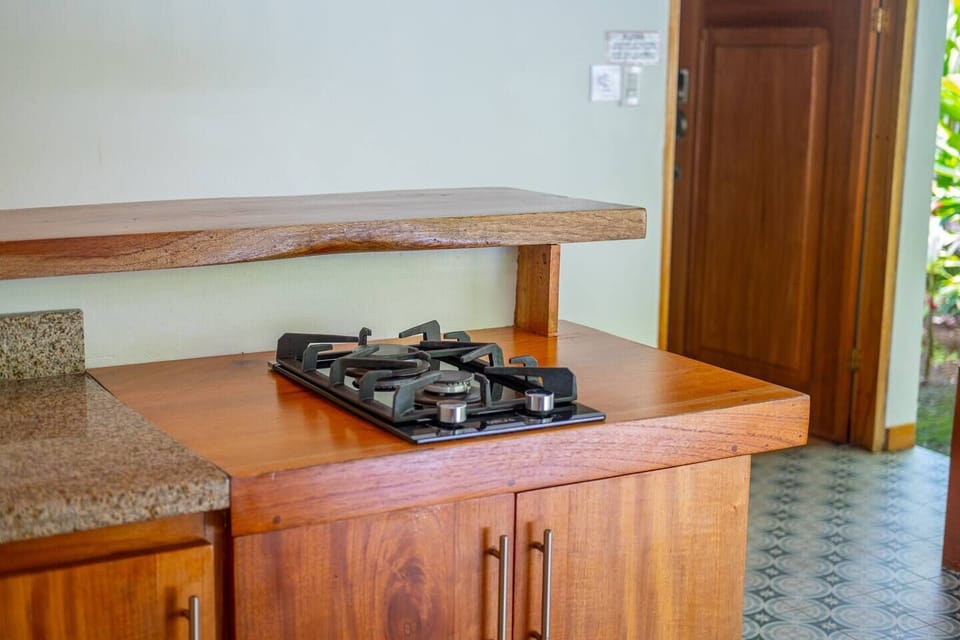 2-disc gas stove