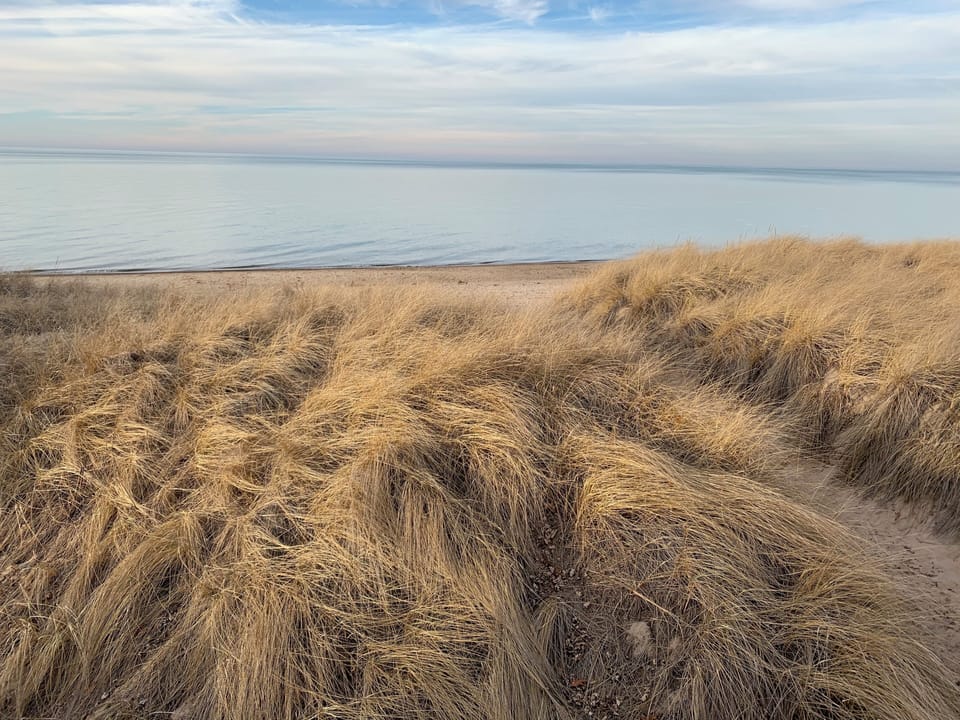 Duneland beach