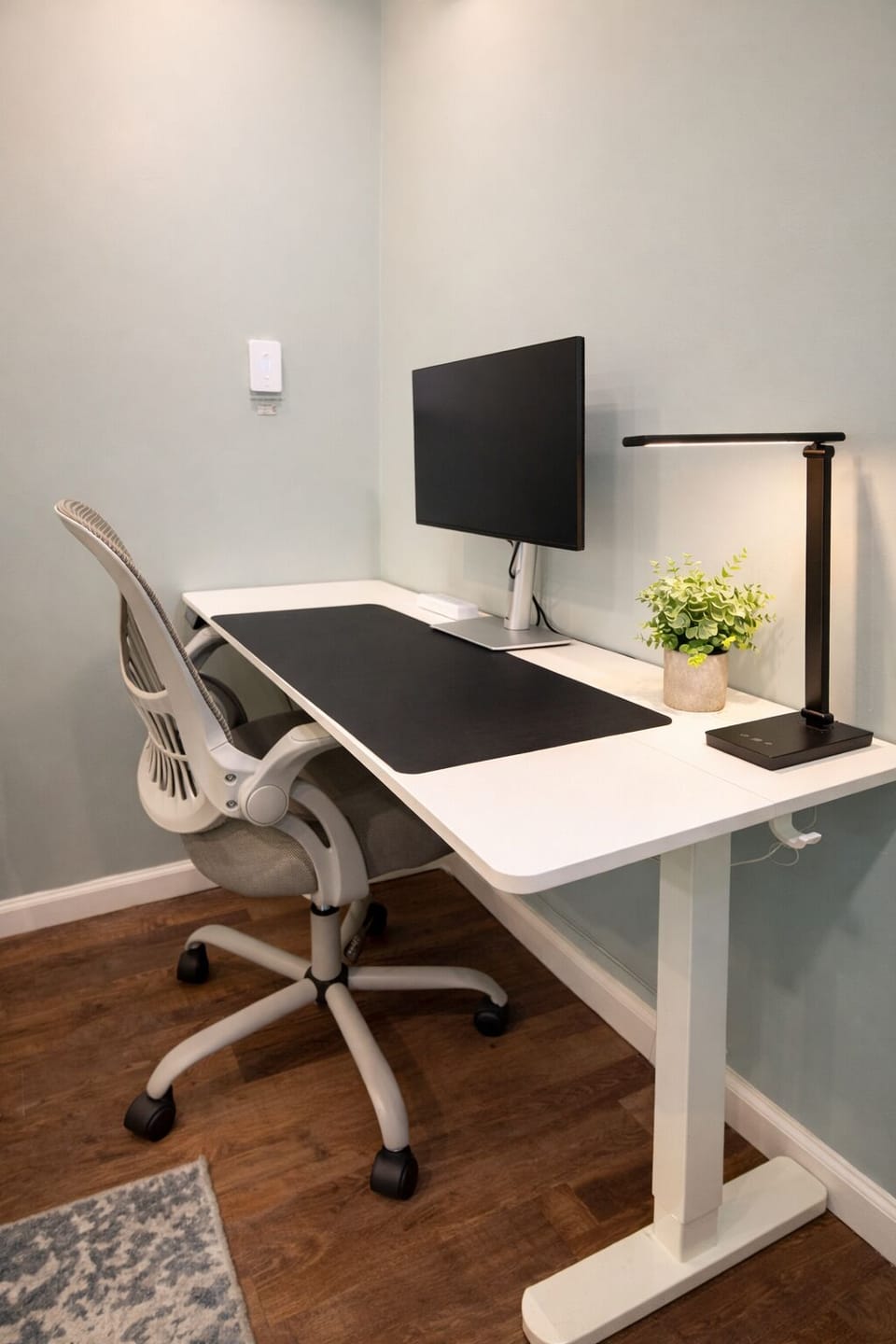 Dedicated work-from-home setup with a sit-stand desk and ergonomic chair.