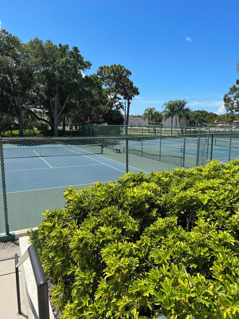 Sport court