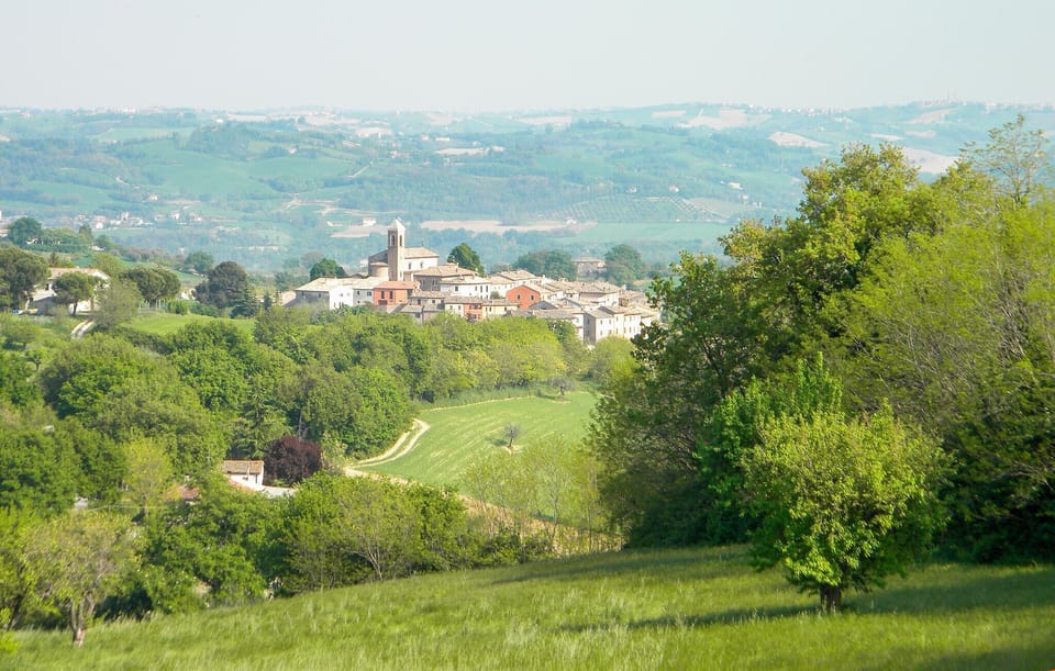 area